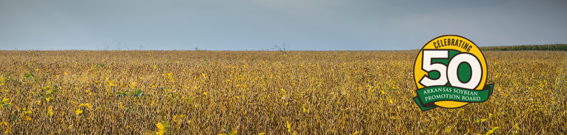 Soybean Month header